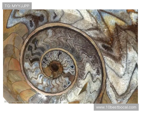 利用罗浮宫网上娱乐平台探索世界著名艺术品实现文化交流与学习